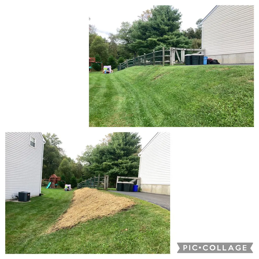 Professional yard cleanup service in Brookhaven, PA by E&J Landscaping