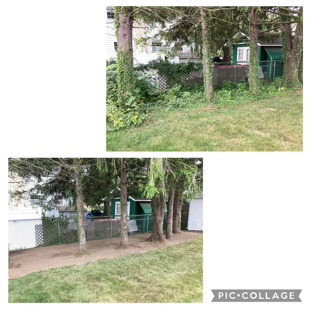 Affordable landscape design in Brookhaven, PA by E&J Landscaping