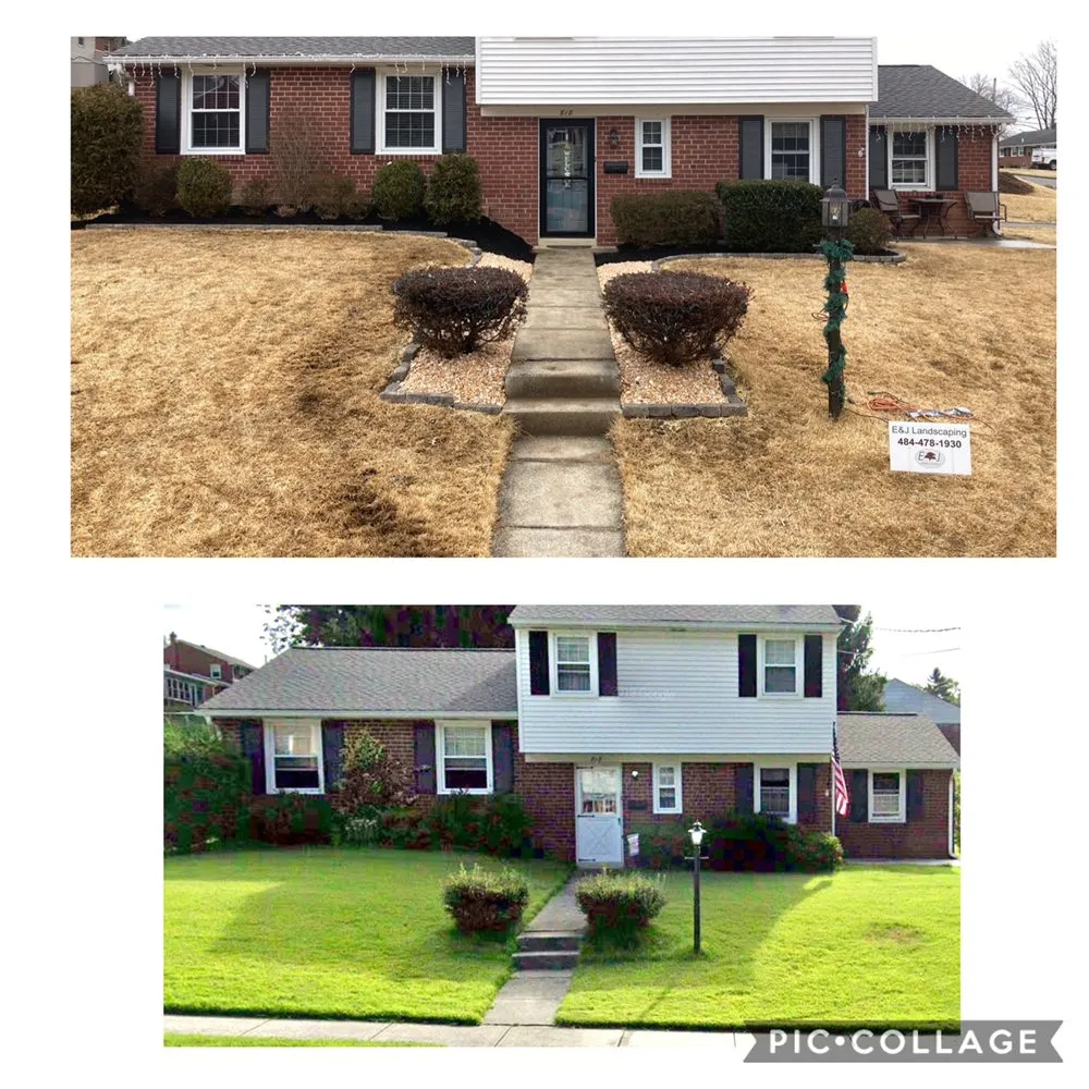 Trusted yard cleanup service in Brookhaven, PA - E&J Landscaping