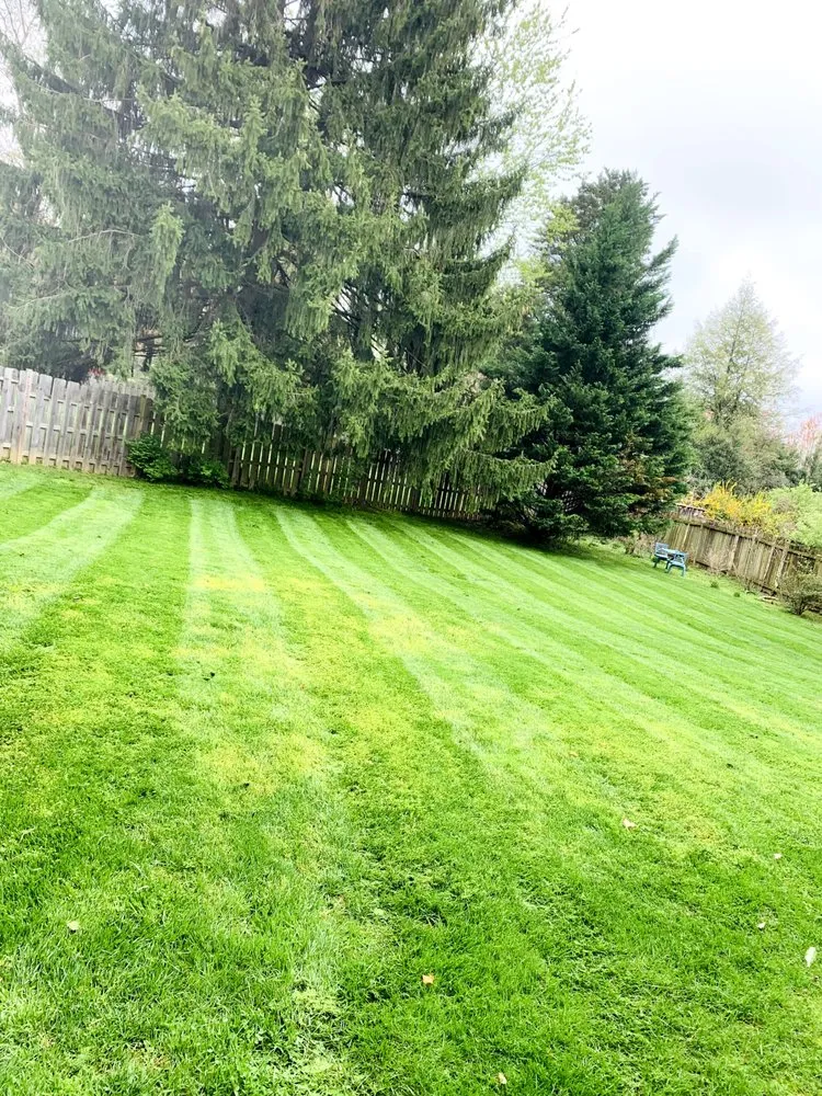 Expert residential landscaping for beautiful yards across Frederick, MD - EJ Landscaping