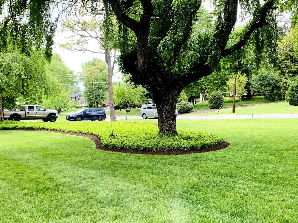 Professional yard maintenance for outdoor upgrades across Frederick, MD - EJ Landscaping