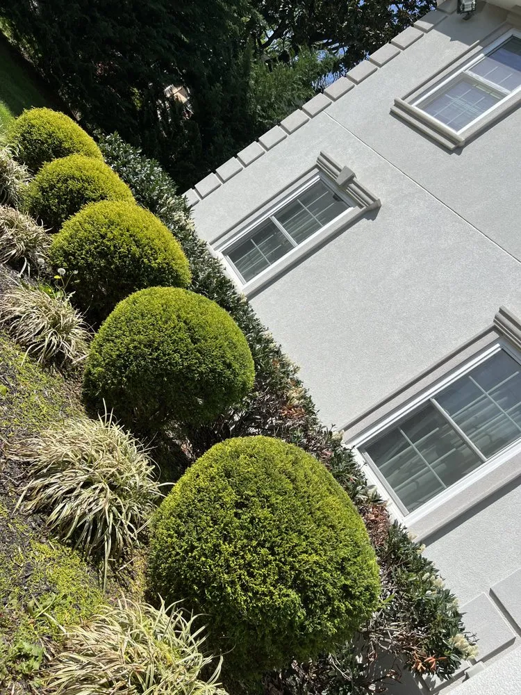 Top-rated yard cleanup service in Frederick, MD - EJ Landscaping