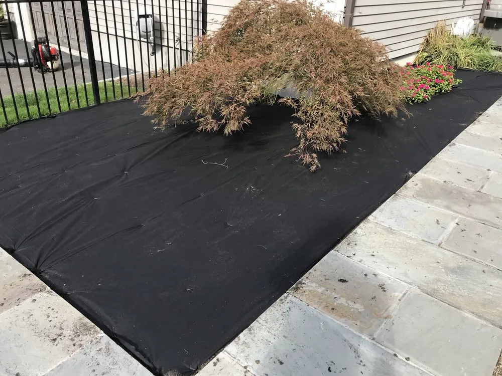 Professional landscaping services for homes in Norwalk, CT by Ej Landscaping Service