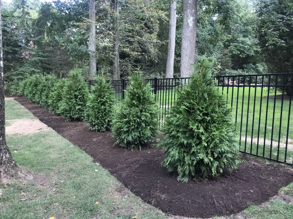 Affordable yard cleanup service for beautiful yards in Norwalk, CT by Ej Landscaping Service