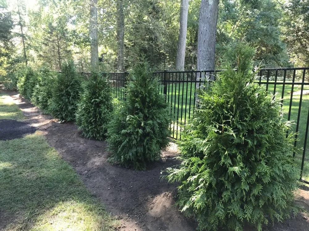 Local lawn mowing service for homes in Norwalk, CT by Ej Landscaping Service