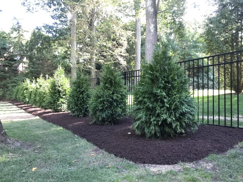 Affordable landscaping services for year-round maintenance in Norwalk, CT by Ej Landscaping Service