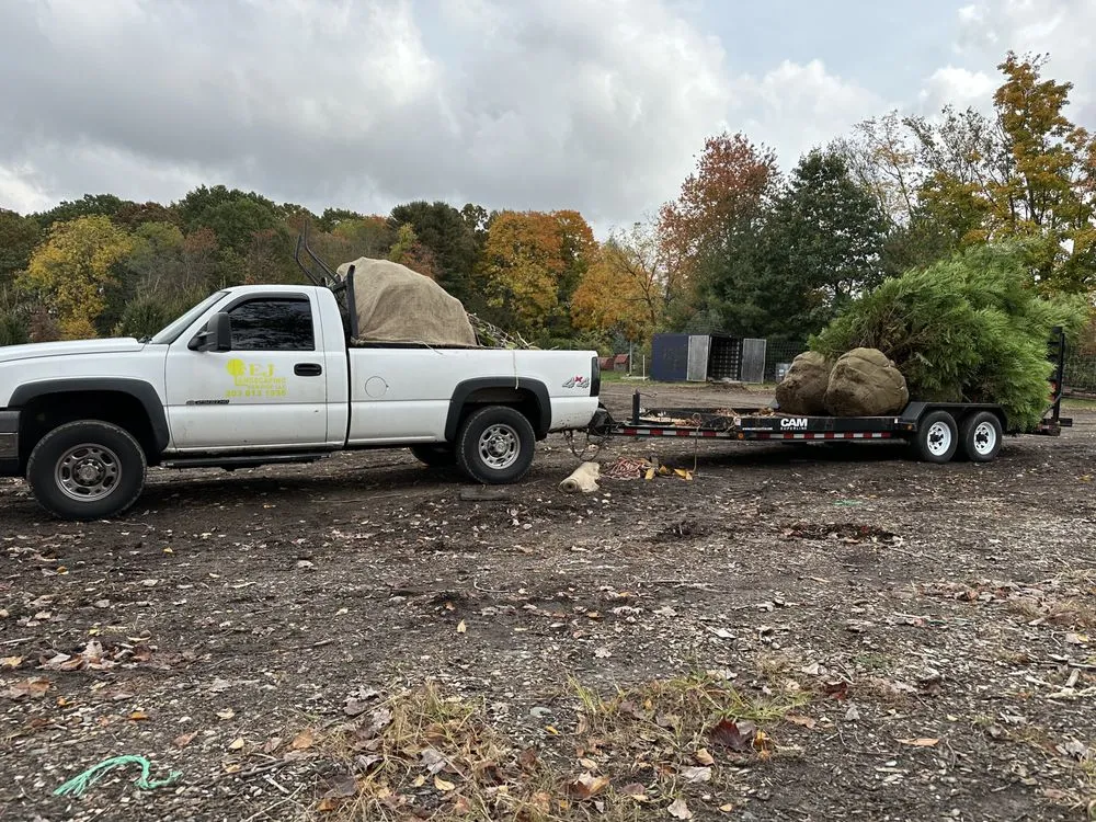 Trusted garden landscaping for year-round maintenance across Norwalk, CT - Ej Landscaping Service