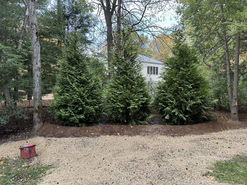 Custom lawn care service in Norwalk, CT by Ej Landscaping Service