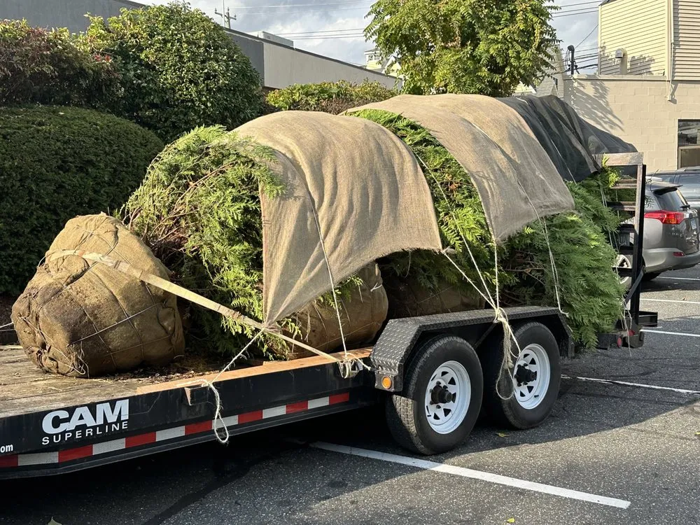 Affordable lawn mowing service with custom design in Norwalk, CT by Ej Landscaping Service