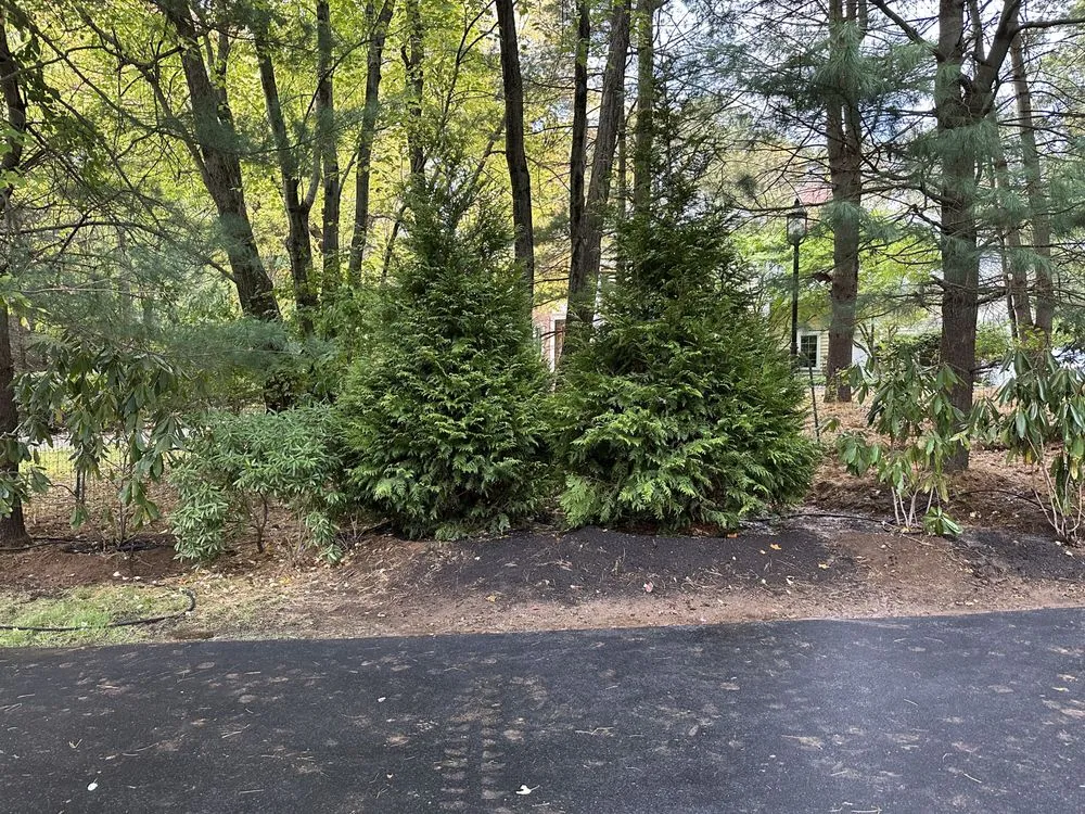 Professional landscaping services experts serving Norwalk, CT - Ej Landscaping Service