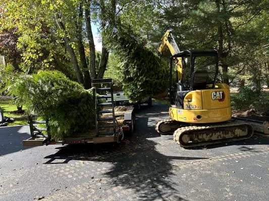 Ej Landscaping Service Logo