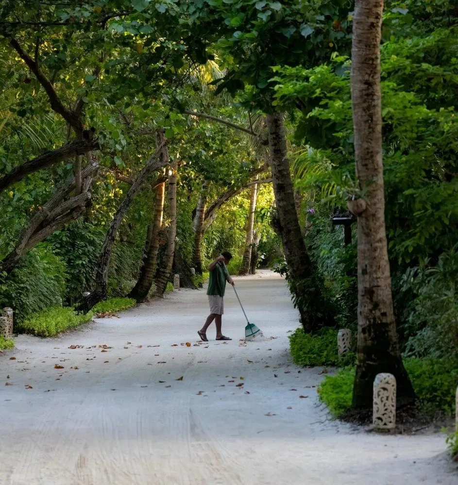 Top-rated landscape design for outdoor upgrades in Irondequoit, NY by EJ Lawn & Landscape