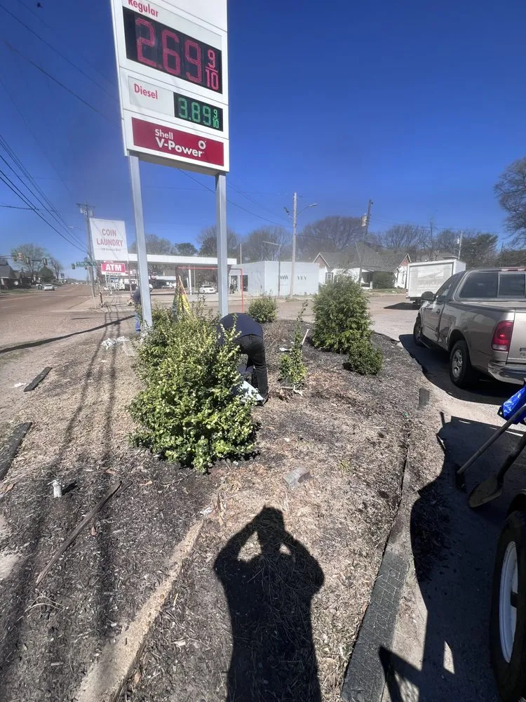 Professional landscaping services for homes across Jackson, TN - E&J Lawn Care