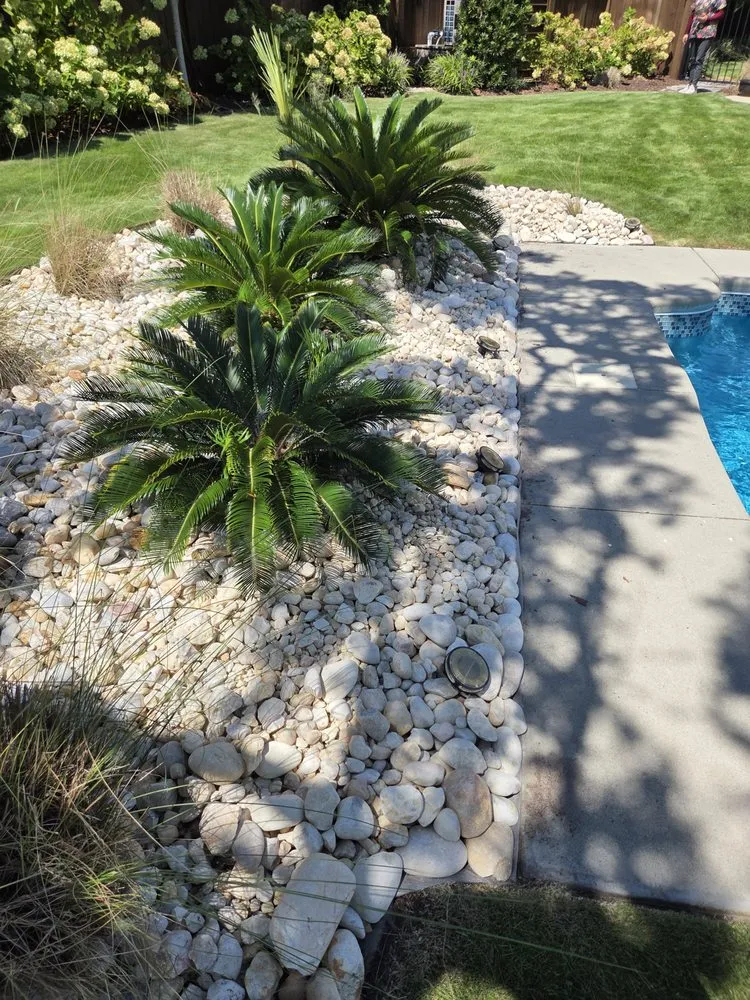 Trusted yard cleanup service for residential properties across Ocean Isle Beach, NC - E&J Lawn Maintenance