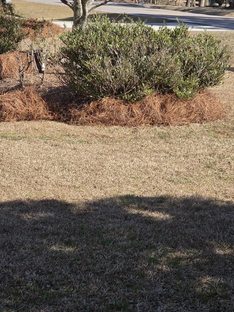 Affordable yard maintenance in Ocean Isle Beach, NC - E&J Lawn Maintenance