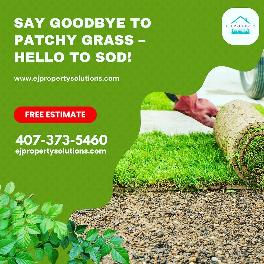 Reliable landscape design in Saint Cloud, FL by EJ Property Solutions