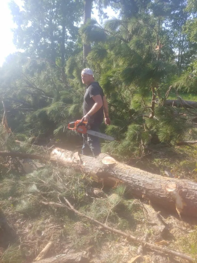 Custom landscape installation experts serving Willis, TX - E&J Service Pros