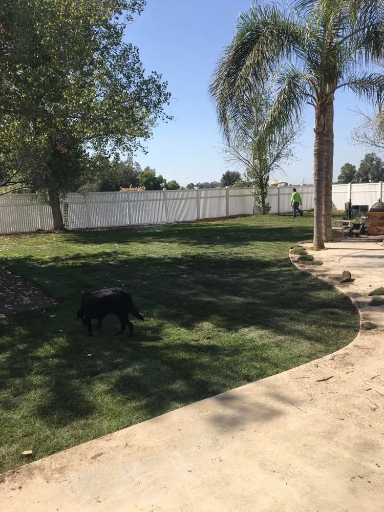 Custom yard maintenance for year-round maintenance across Bakersfield, CA - E&J Services