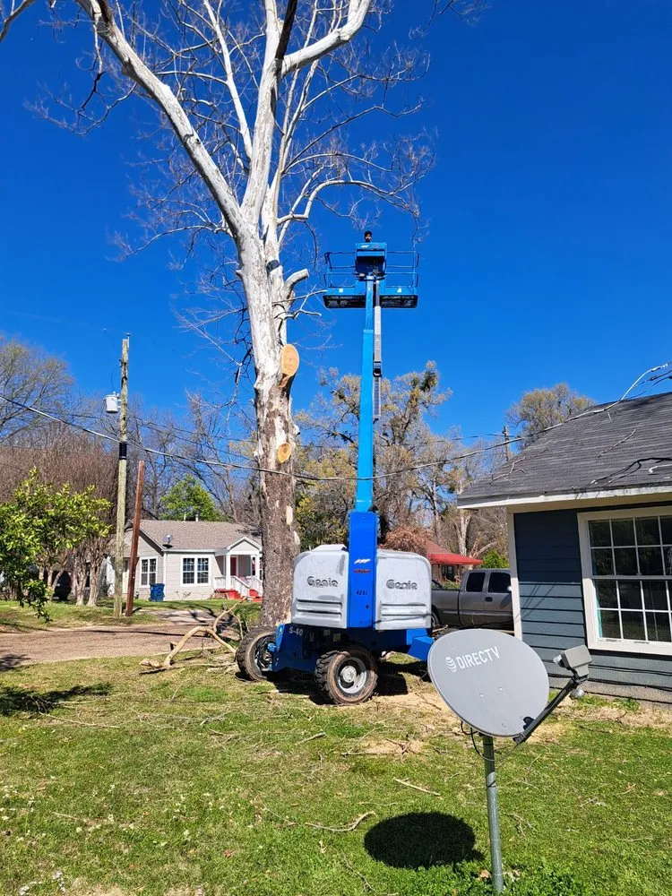 Affordable landscape installation in Mount Pleasant, TX by EJ Services