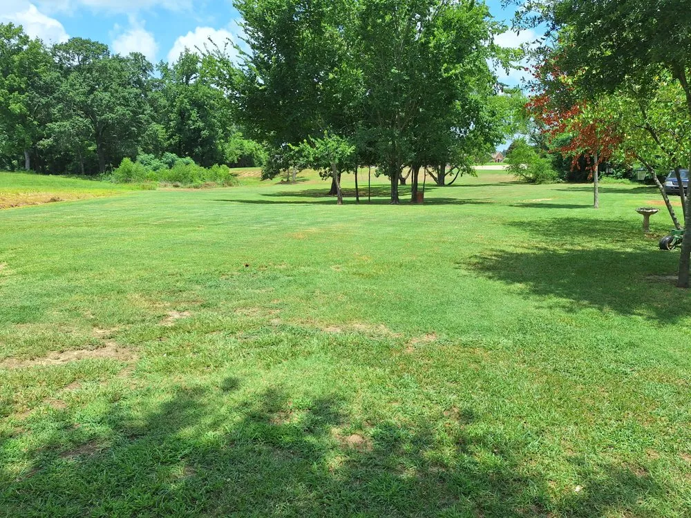 Top-rated residential landscaping for beautiful yards across Mount Pleasant, TX - EJ Services