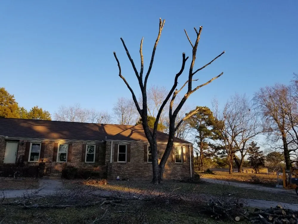 Professional garden landscaping near you across Danville, AL - E&J Tree Care and Lawn Services
