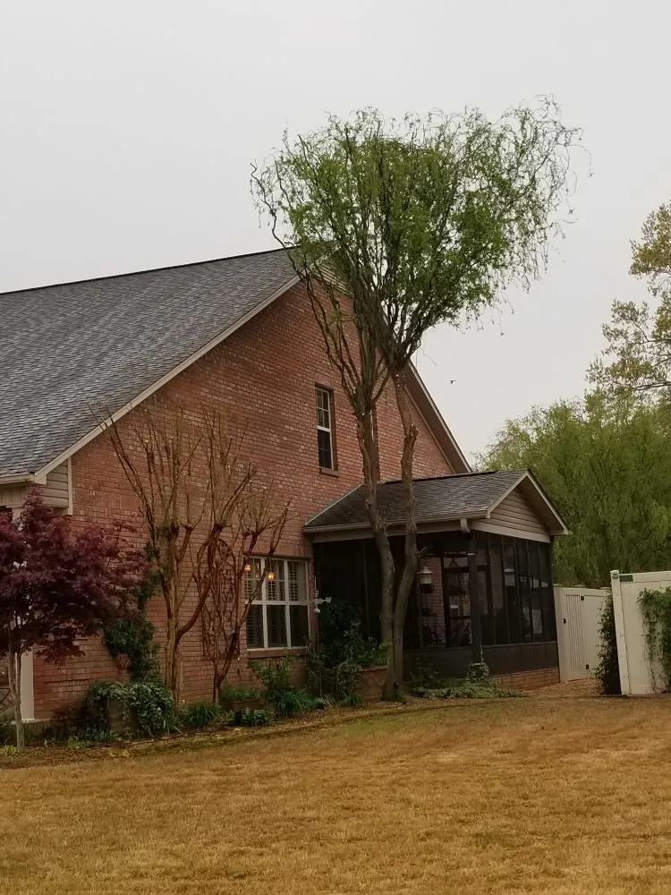 Expert yard cleanup service with custom design across Danville, AL - E&J Tree Care and Lawn Services