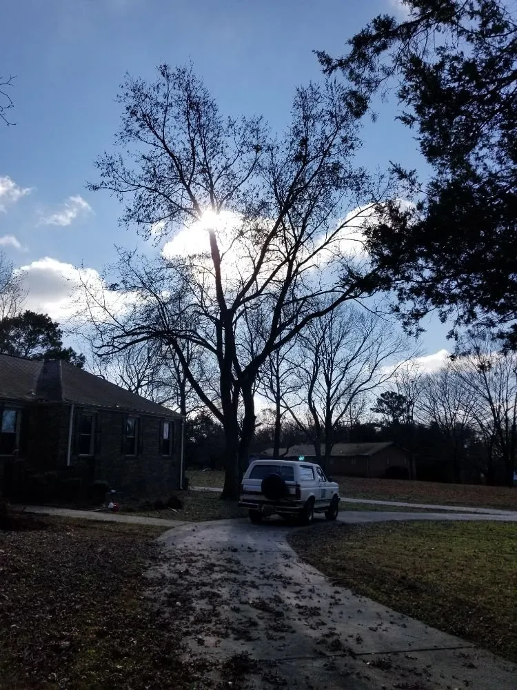 Custom yard maintenance near you across Danville, AL - E&J Tree Care and Lawn Services