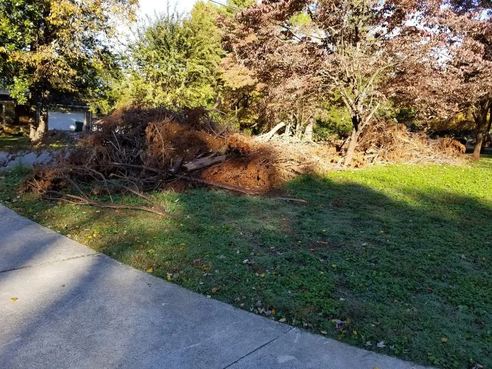 Affordable outdoor landscaping experts serving Danville, AL - E&J Tree Care and Lawn Services