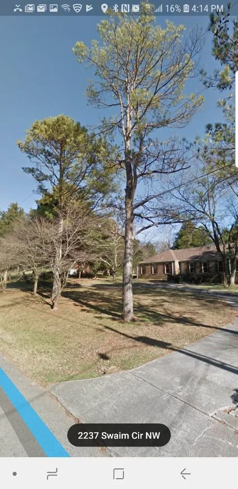 Custom landscape installation for year-round maintenance in Danville, AL by E&J Tree Care and Lawn Services