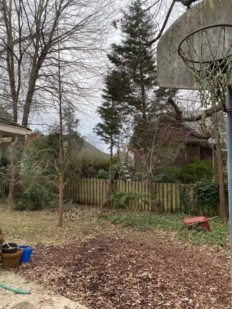 Affordable landscape design for outdoor upgrades across Danville, AL - E&J Tree Care and Lawn Services