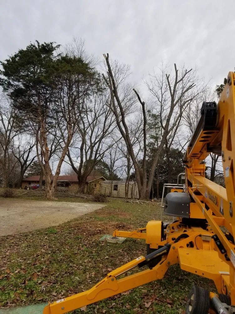 Expert garden landscaping in Danville, AL - E&J Tree Care and Lawn Services