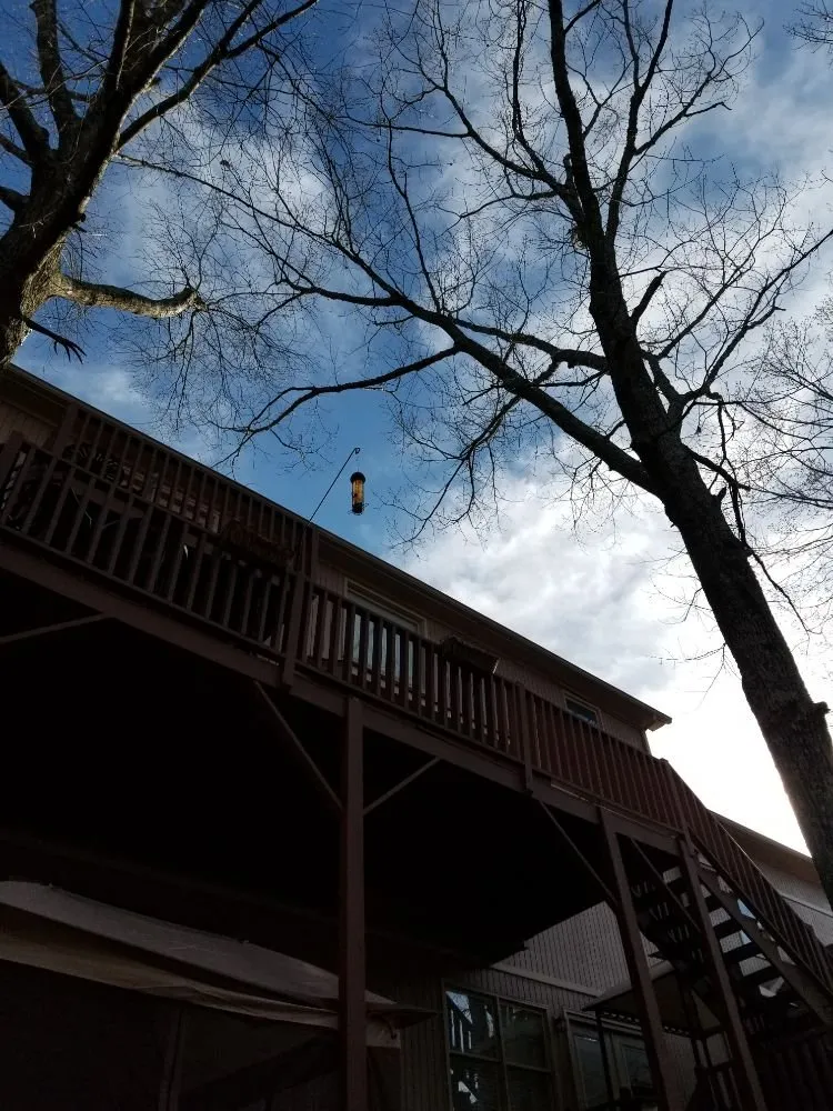 Local yard maintenance for residential properties in Danville, AL by E&J Tree Care and Lawn Services