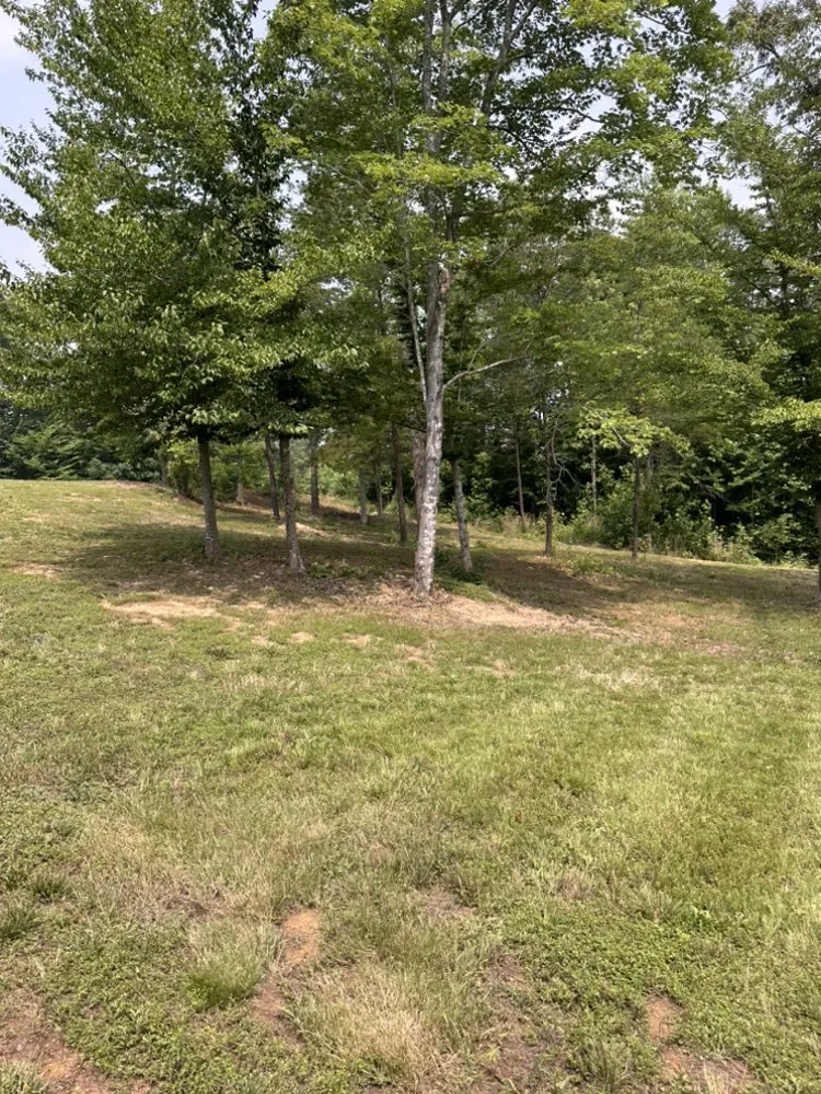 Affordable garden landscaping with custom design across Stafford, VA - EJD Landscaping