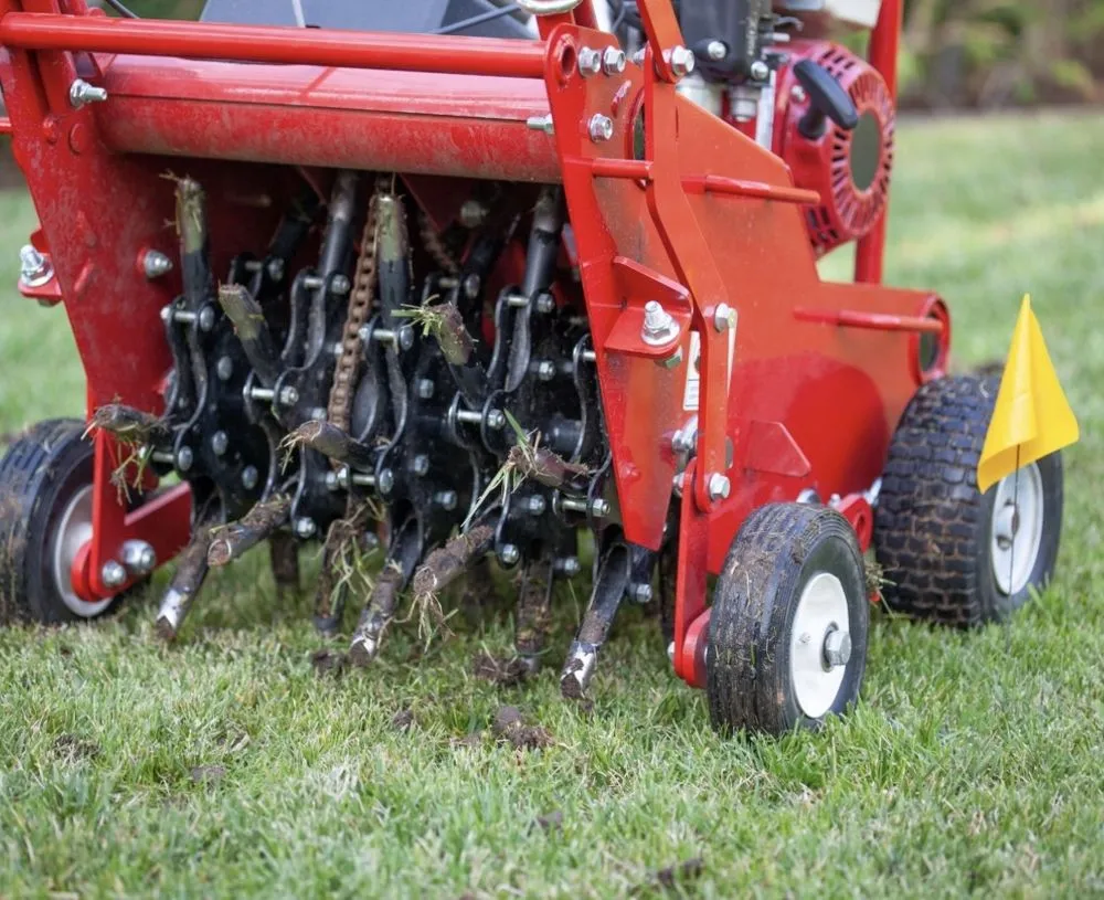 Top-rated yard cleanup service in Stafford, VA - EJD Landscaping