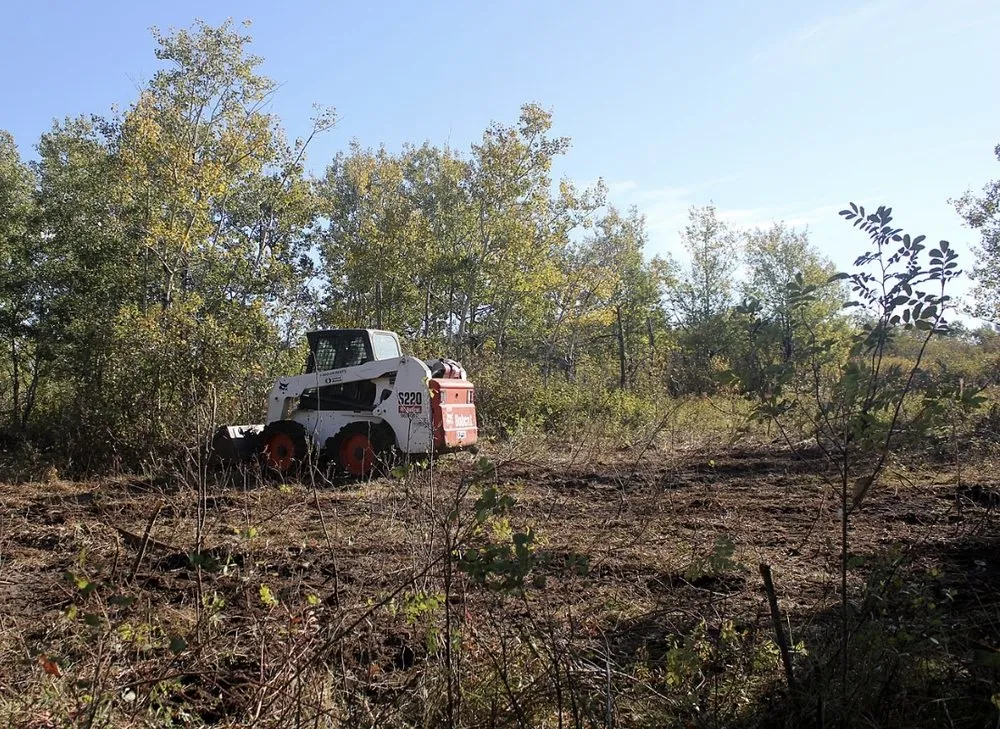 Trusted lawn care service in Stafford, VA - EJD Landscaping