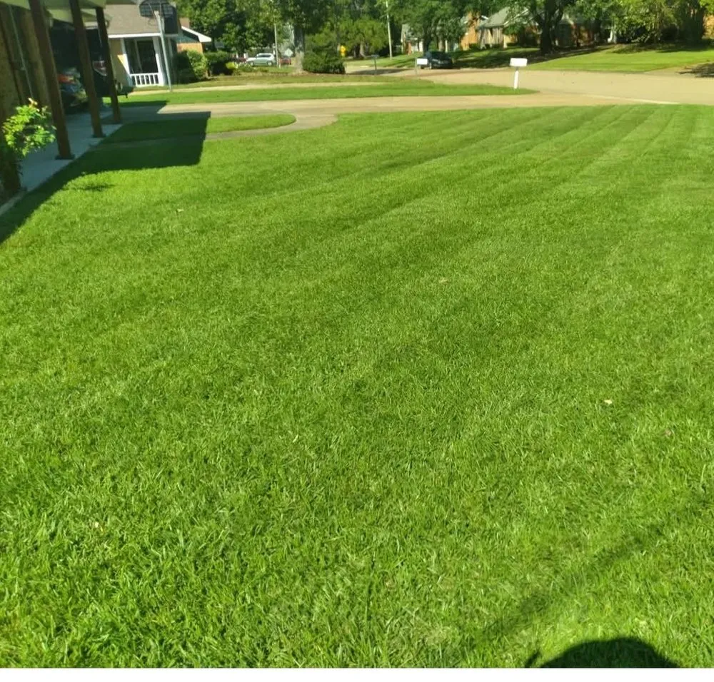 Top-rated landscaping services in Hermanville, MS - EJD Lawns