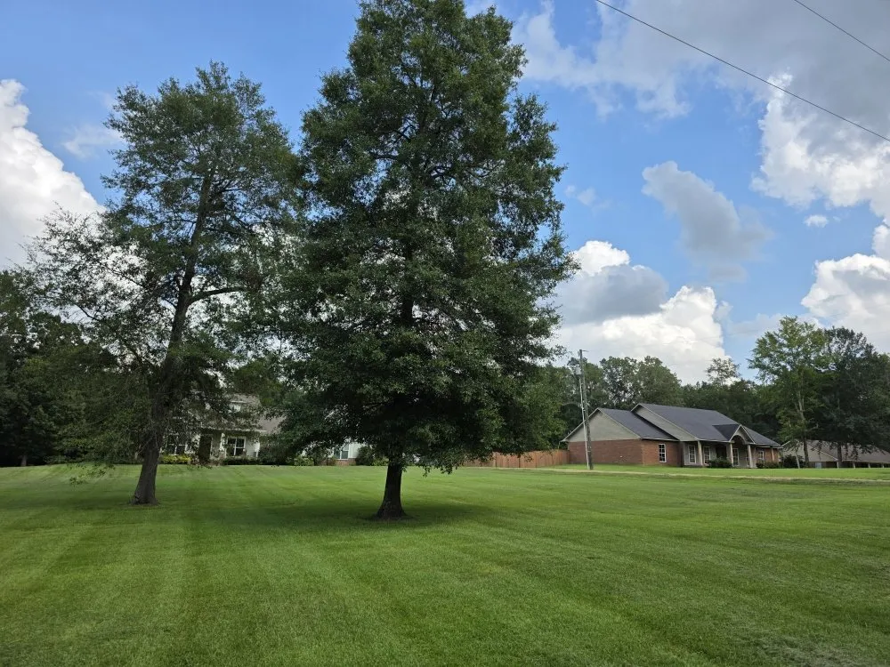 Custom yard cleanup service with custom design in Hermanville, MS by EJD Lawns