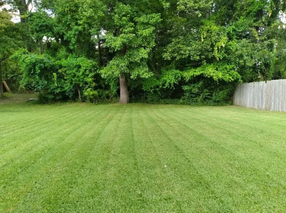 Local landscaping services in Hermanville, MS by EJD Lawns