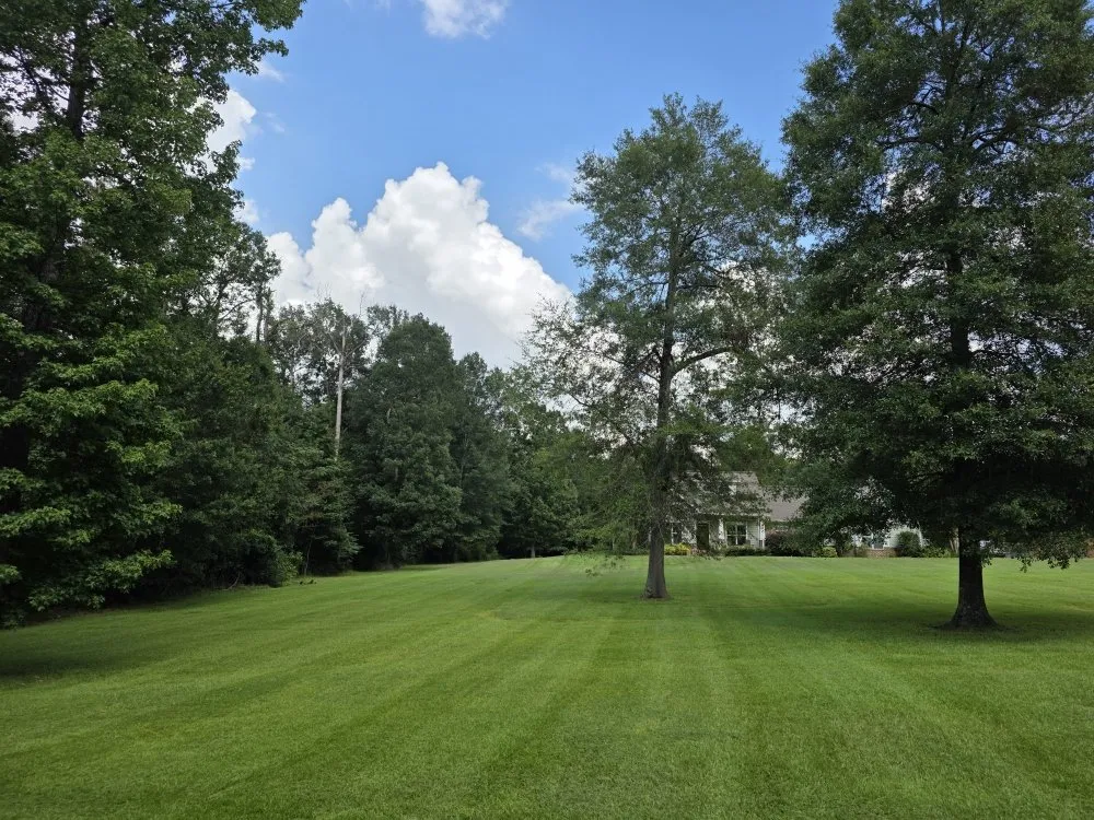 Custom residential landscaping in Hermanville, MS by EJD Lawns