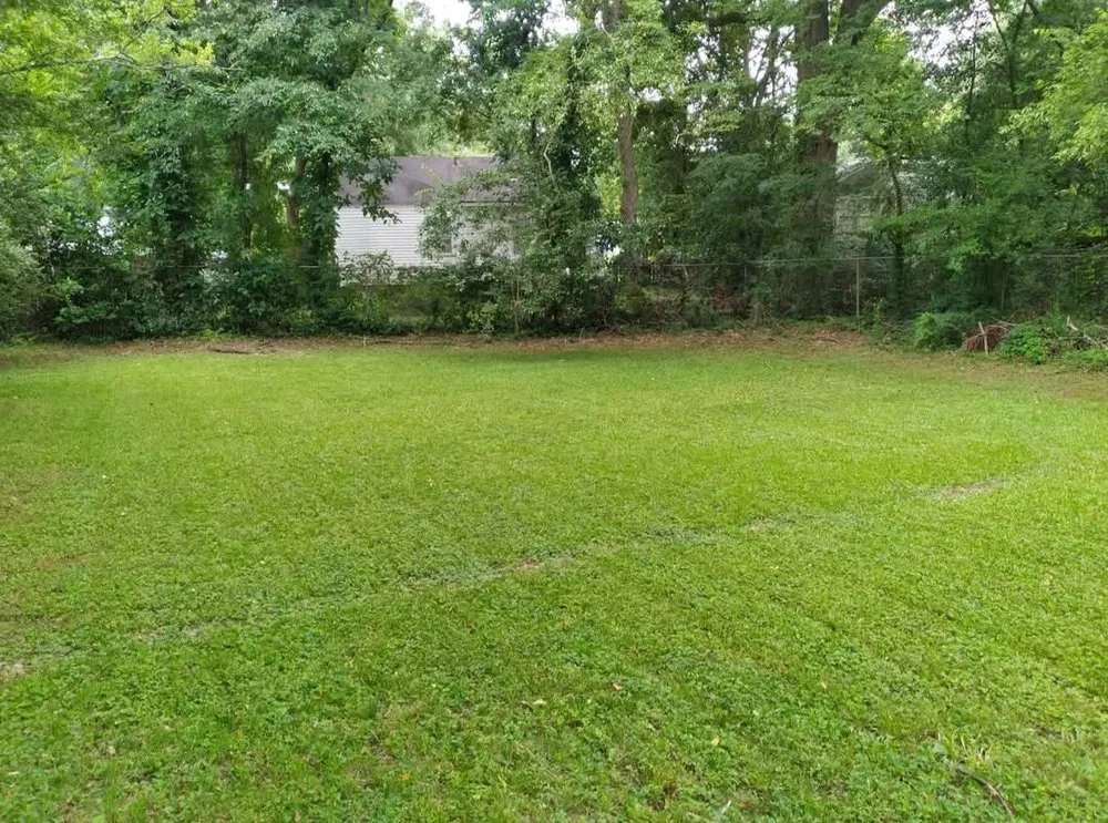 Local garden landscaping experts serving Hermanville, MS - EJD Lawns