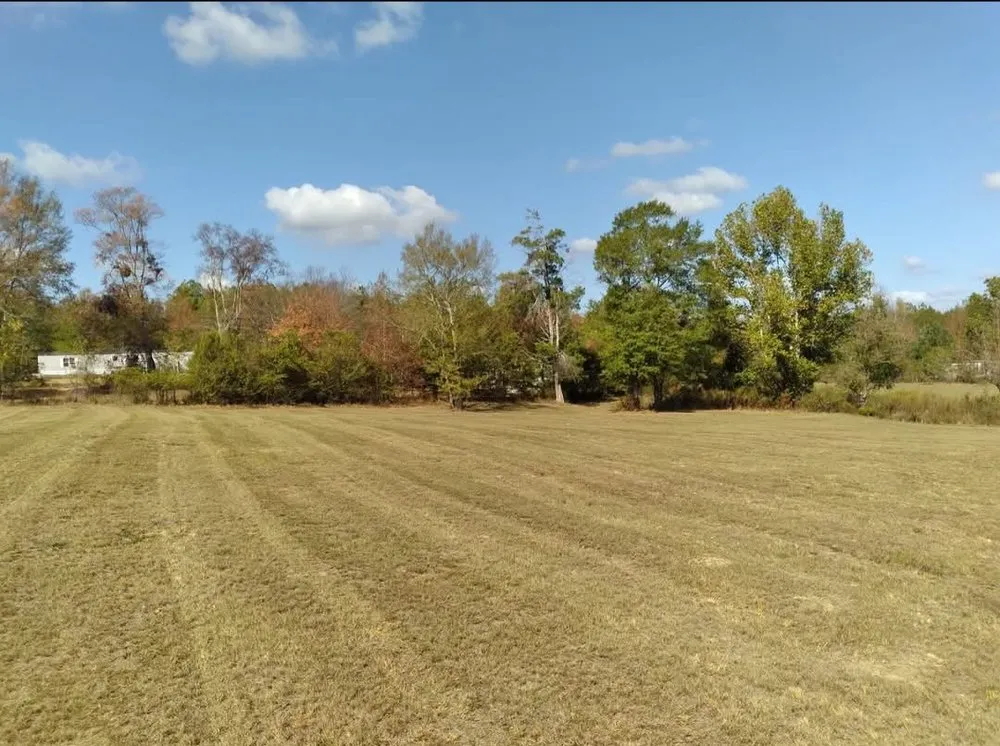Affordable outdoor landscaping in Hermanville, MS by EJD Lawns