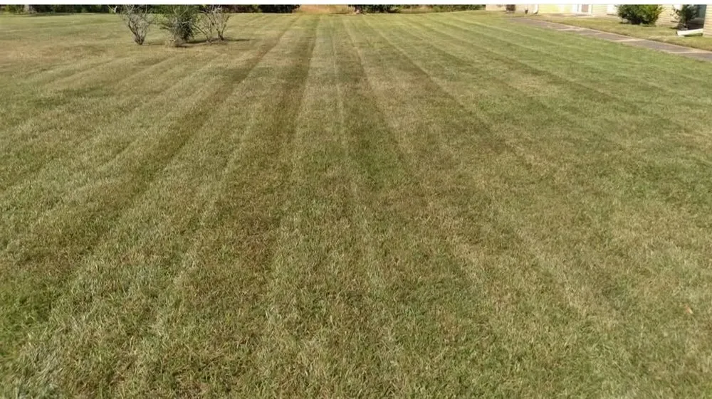 Trusted garden landscaping in Hermanville, MS - EJD Lawns