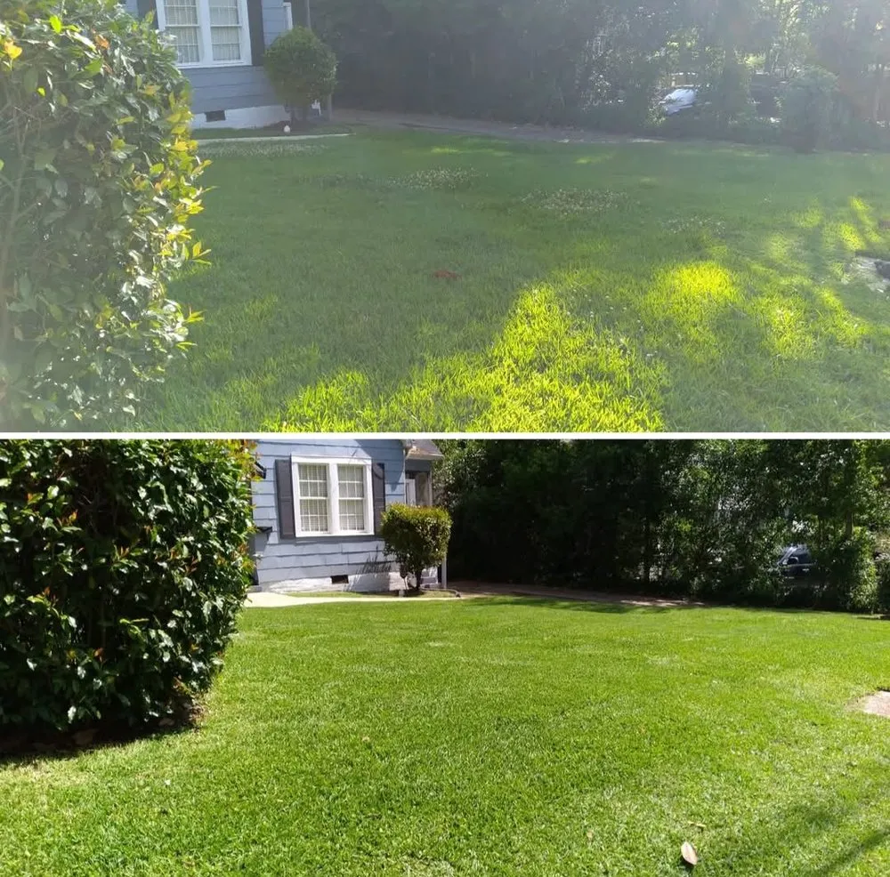 Reliable garden landscaping for outdoor upgrades in Hermanville, MS by EJD Lawns