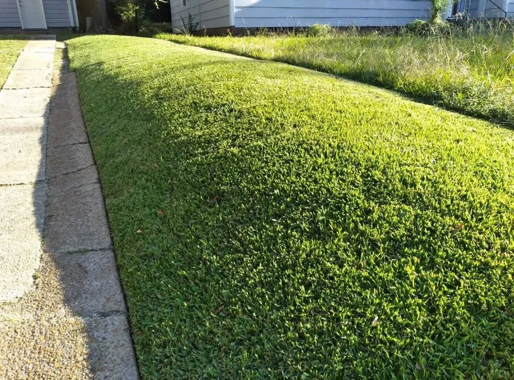 Custom landscape installation for outdoor upgrades across Hermanville, MS - EJD Lawns