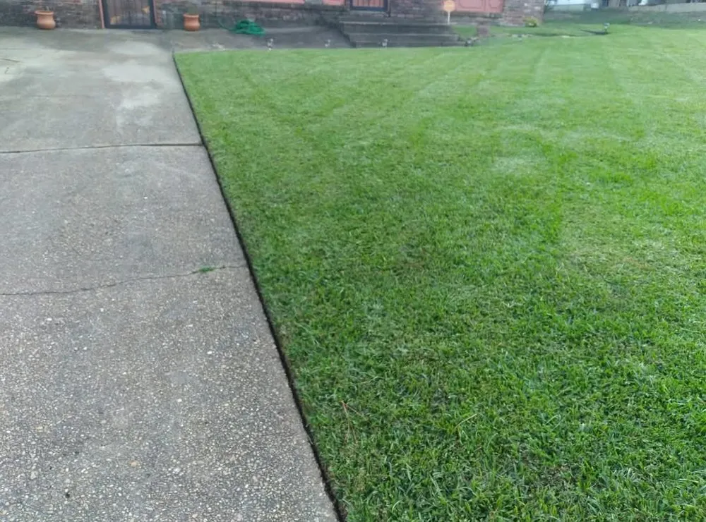 Expert yard cleanup service for homes in Hermanville, MS by EJD Lawns