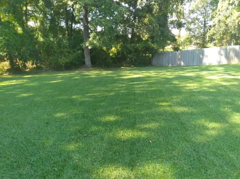 Professional yard maintenance in Hermanville, MS by EJD Lawns