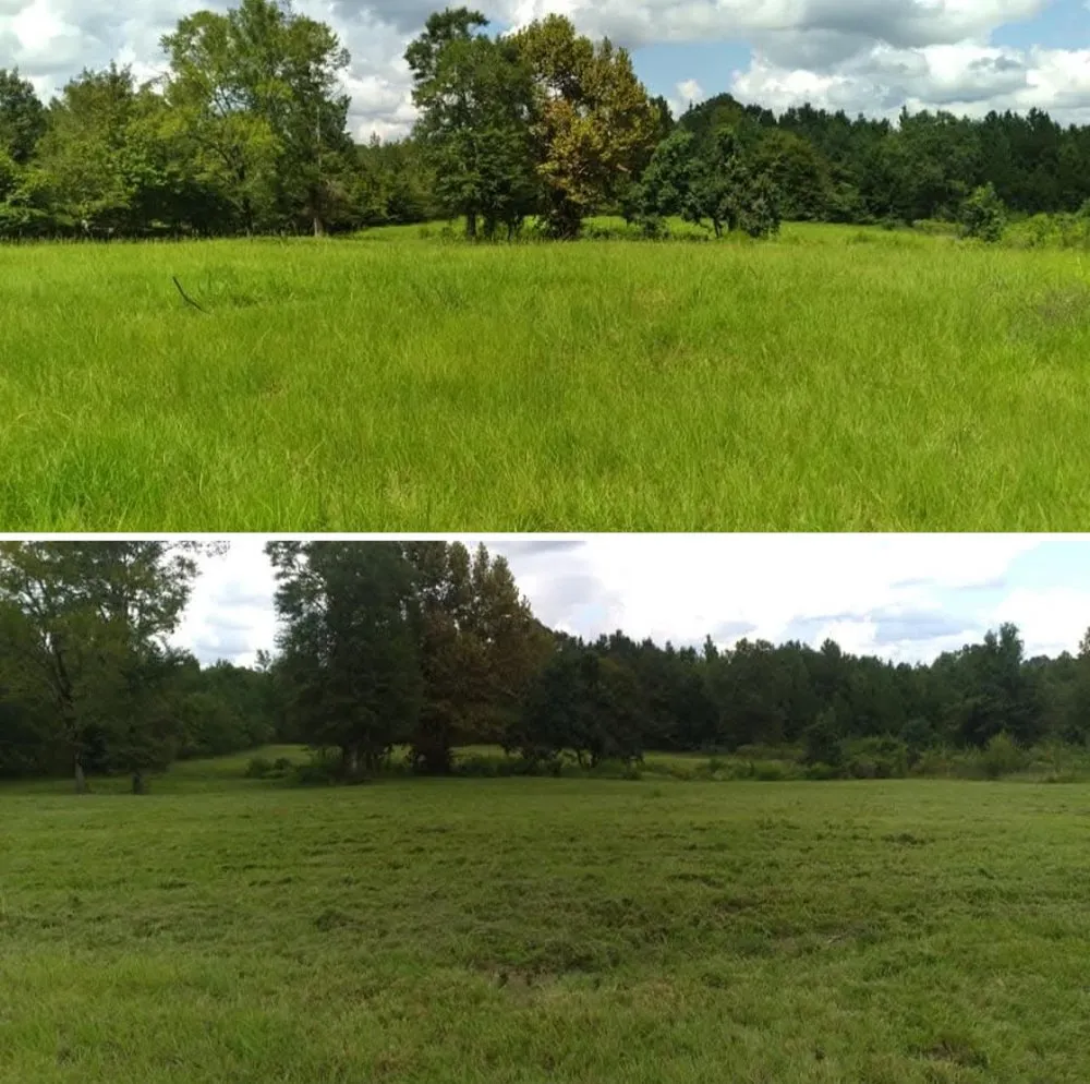 Top-rated garden landscaping experts serving Hermanville, MS - EJD Lawns