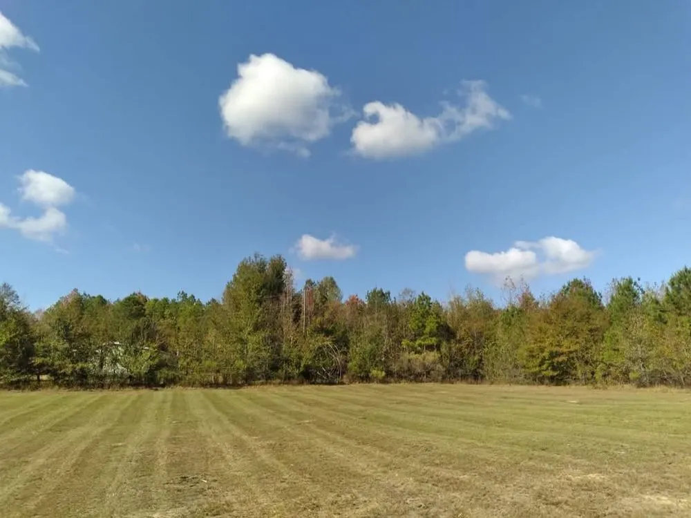 Reliable outdoor landscaping experts serving Hermanville, MS - EJD Lawns
