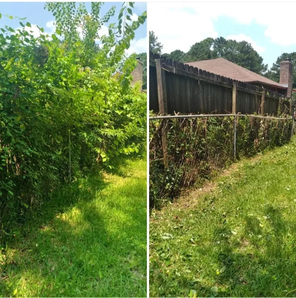 Professional outdoor landscaping for beautiful yards in Hermanville, MS by EJD Lawns