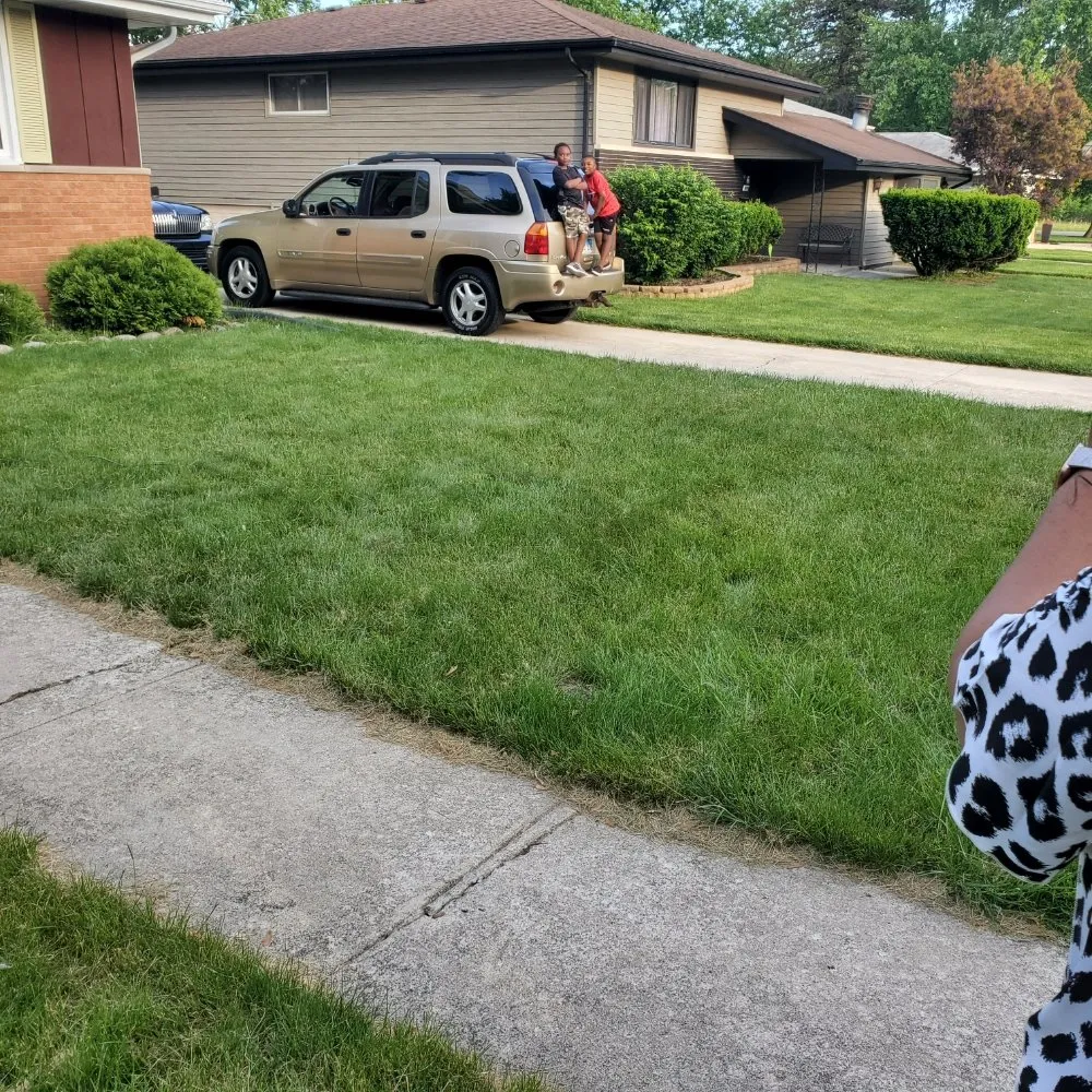 Local yard cleanup service for outdoor upgrades across Allendale, MI - Ejjos Garden Yard Maintenance and Home Cleaning